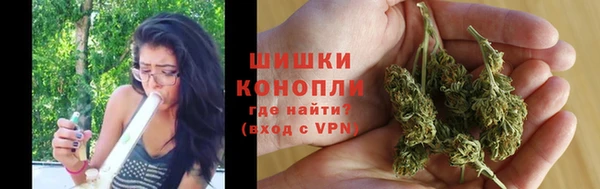 мдпв Горнозаводск