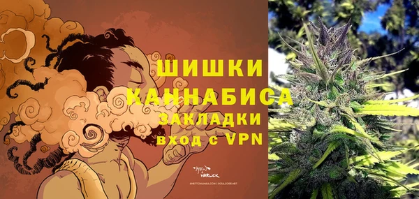 мдпв Горнозаводск