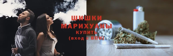 мдпв Горнозаводск