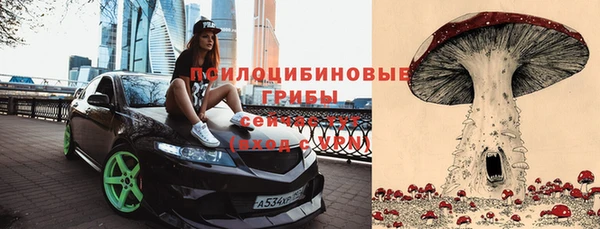 героин Горняк